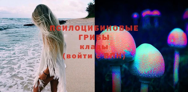 винт Белокуриха
