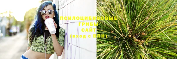 винт Белокуриха