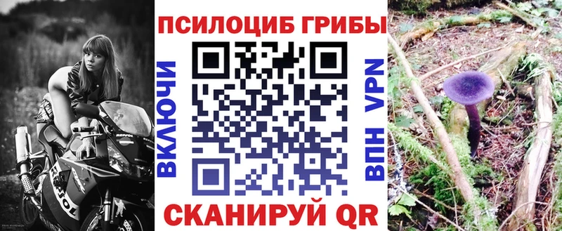 Галлюциногенные грибы ЛСД Мариинский Посад